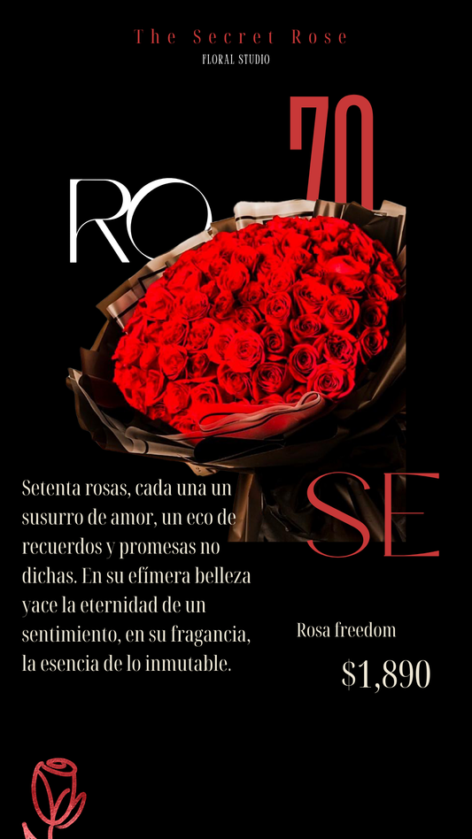 70 Rose